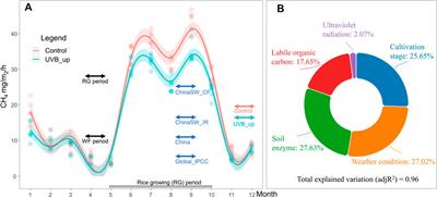 Enhanced ultraviolet-B radiation reduces methane emission in one of the oldest and largest rice terraces in China but triggers new challenges